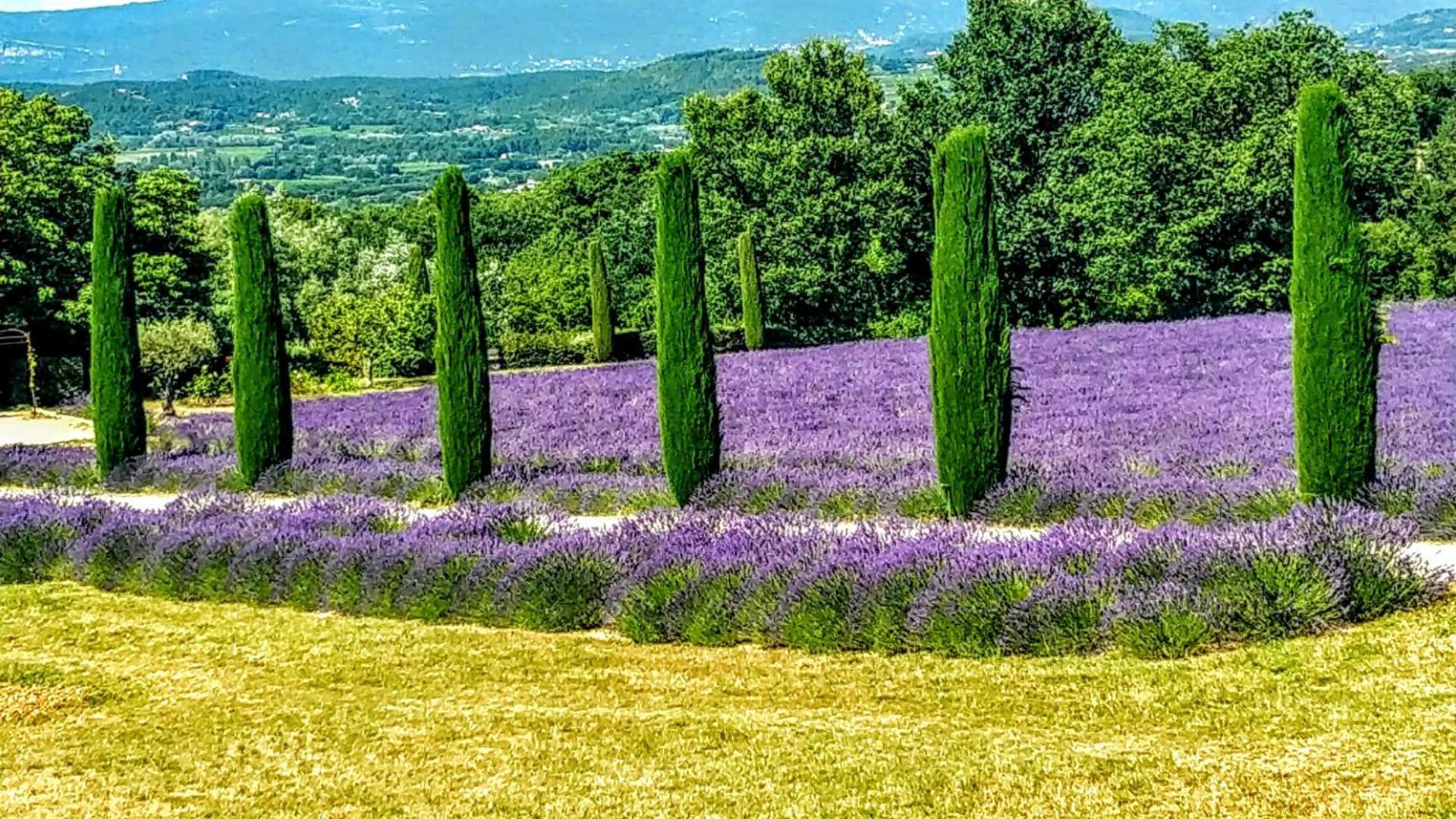 Le Mas De Roussillon Roussillon en Isere Buitenkant foto