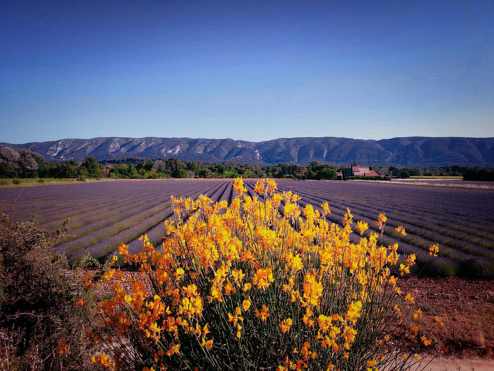 Le Mas De Roussillon Roussillon en Isere Buitenkant foto